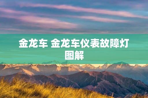 金龙车 金龙车仪表故障灯图解