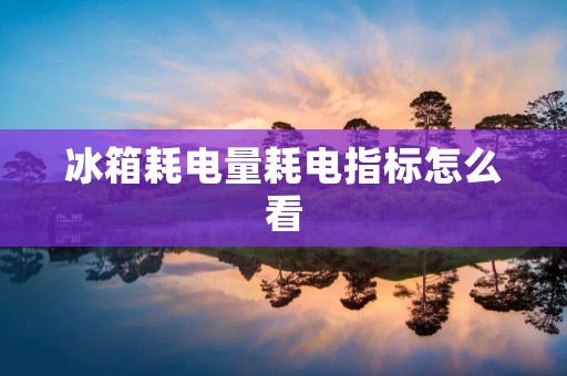 冰箱耗电量耗电指标怎么看 冰箱耗电量耗电指标怎么看