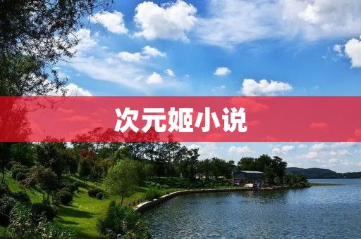 次元姬小说：穿越时空的奇妙冒险