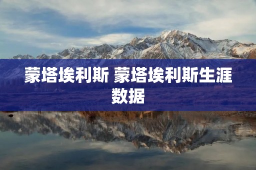 蒙塔埃利斯 蒙塔埃利斯生涯数据 蒙塔埃利斯 蒙塔埃利斯生涯数据