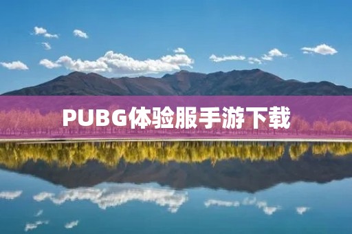 PUBG体验服手游下载：畅玩最新版本