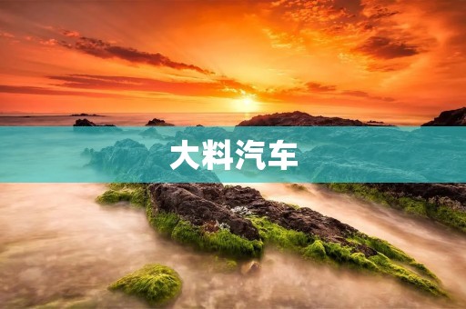 大料汽车：领先科技，引领未来