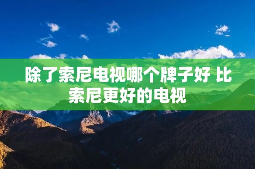 除了索尼电视哪个牌子好 比索尼更好的电视
