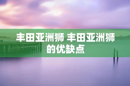丰田亚洲狮 丰田亚洲狮的优缺点