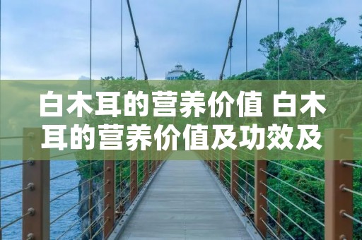 白木耳的营养价值 白木耳的营养价值及功效及禁忌