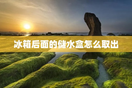 冰箱后面的储水盒怎么取出