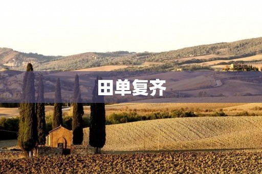 田单复齐：英雄联盟中的无敌组合