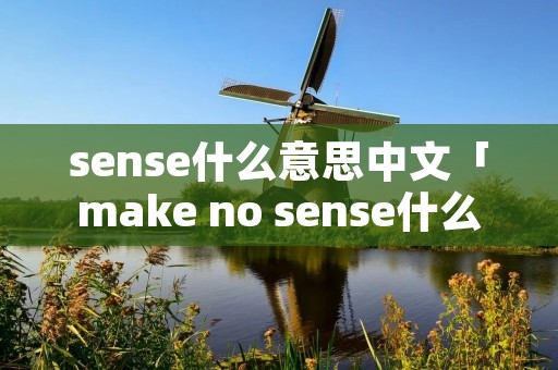 sense什么意思中文「make no sense什么意思中文」