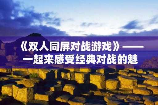 《双人同屏对战游戏》—— 一起来感受经典对战的魅力!