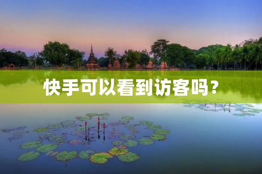 快手可以看到访客吗?