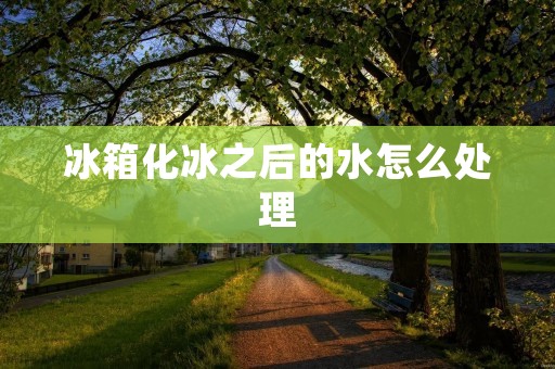 冰箱化冰之后的水怎么处理
