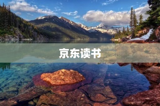 京东读书：打开智慧阅读的新世界