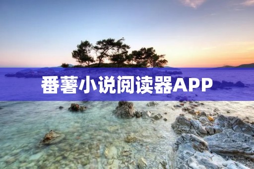 番薯小说阅读器APP:打开无限想象的阅读世界 番薯小说阅读器APP:打开无限想象的阅读世界