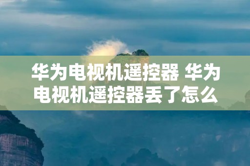 华为电视机遥控器 华为电视机遥控器丢了怎么办