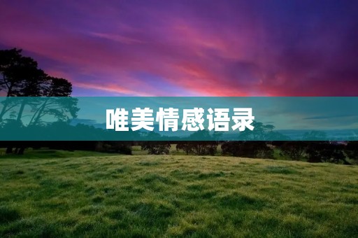 唯美情感语录:用短句传递爱情的力量