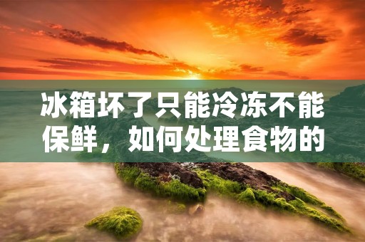 冰箱坏了只能冷冻不能保鲜,如何处理食物的保存? 冰箱坏了只能冷冻不能保鲜,如何处理食物的保存?