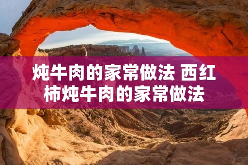 炖牛肉的家常做法 西红柿炖牛肉的家常做法