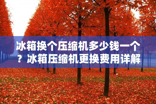 冰箱换个压缩机多少钱一个？冰箱压缩机更换费用详解