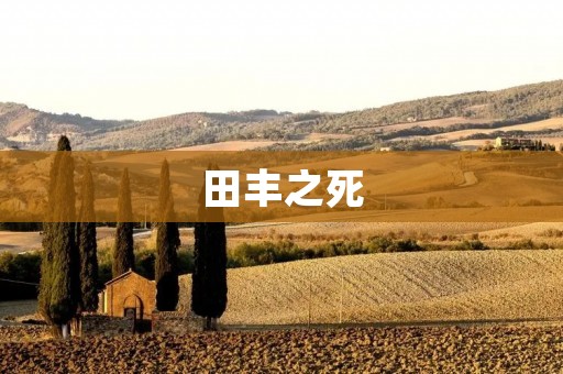 田丰之死：一位被背叛的英雄