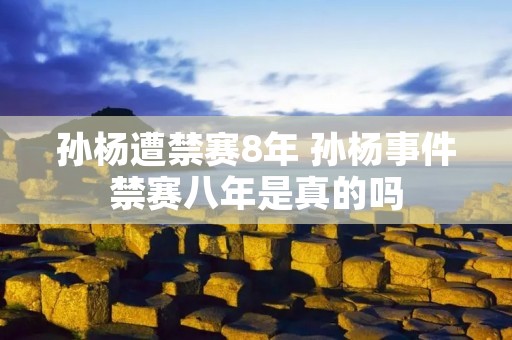 孙杨遭禁赛8年 孙杨事件禁赛八年是真的吗 孙杨遭禁赛8年 孙杨事件禁赛八年是真的吗