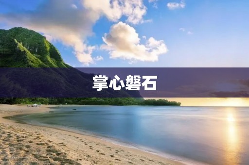 掌心磐石：稳固支持的力量源泉