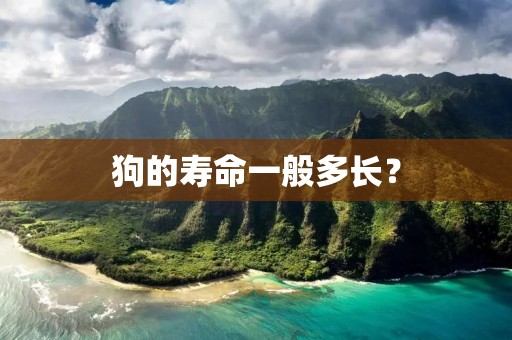狗的寿命一般多长? 狗的寿命一般多长?