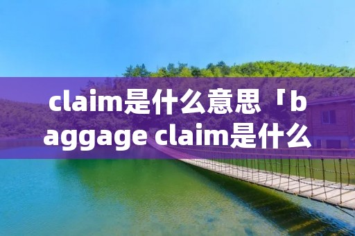 claim是什么意思「baggage claim是什么意思」