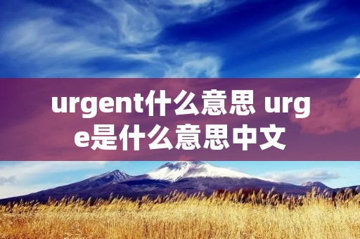urgent什么意思 urge是什么意思中文