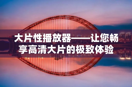 大片性播放器——让您畅享高清大片的极致体验