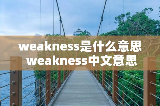 weakness是什么意思 weakness中文意思
