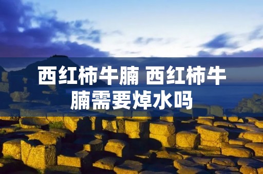 西红柿牛腩 西红柿牛腩需要焯水吗