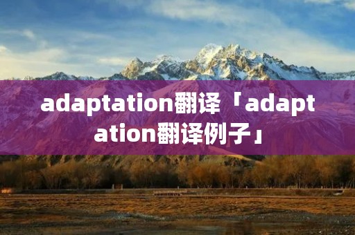 adaptation翻译「adaptation翻译例子」