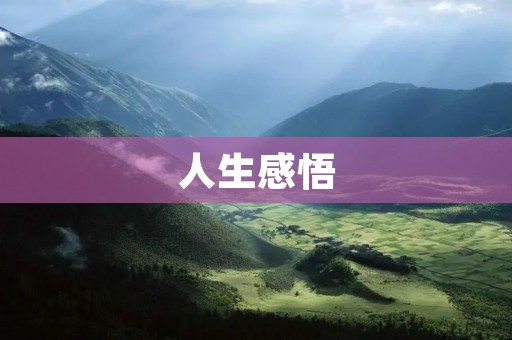 人生感悟：精辟短语带来的启示