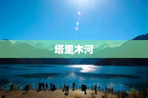 塔里木河:探寻中国西部的壮丽之河