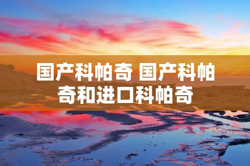 国产科帕奇 国产科帕奇和进口科帕奇