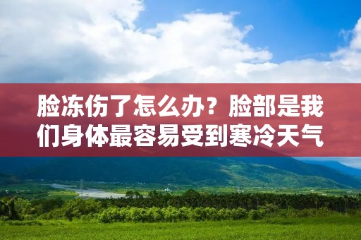 脸冻伤了怎么办？脸部是我们身体最容易受到寒冷天气伤害的部位之一。当寒冷的气温和强风相结合时，脸部皮肤可能会受到冻伤。冻伤是由于皮肤组织暴露在极低温度下时引起的，它会导致皮肤发红、肿胀、疼痛和干燥。如果你的脸部出现了冻伤，以下是一些应对措施，帮助你缓解症状和促进康复。