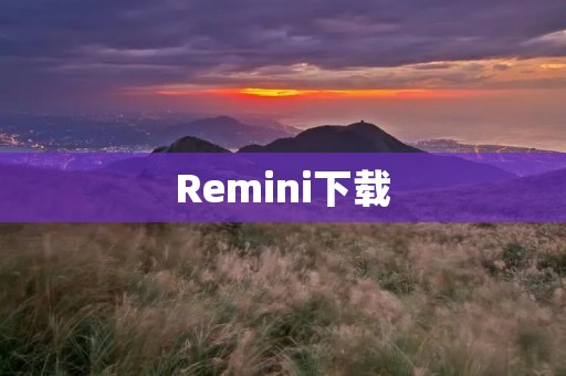 Remini下载:一键修复老照片,还原记忆 Remini下载:一键修复老照片,还原记忆