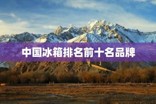 中国冰箱排名前十名品牌:质量与创新的典范 中国冰箱排名前十名品牌:质量与创新的典范