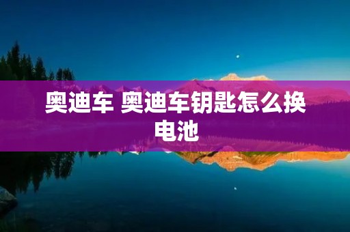 奥迪车 奥迪车钥匙怎么换电池