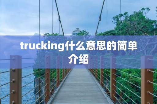 trucking什么意思的简单介绍 trucking什么意思的简单介绍