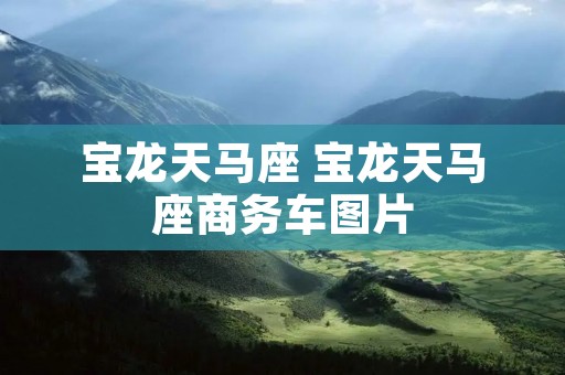 宝龙天马座 宝龙天马座商务车图片 宝龙天马座 宝龙天马座商务车图片