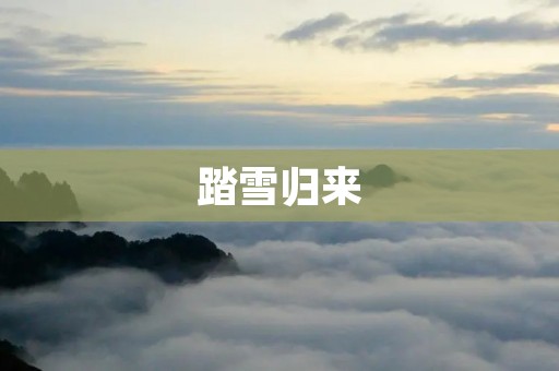 踏雪归来:冬日寻觅雪的足迹 踏雪归来:冬日寻觅雪的足迹