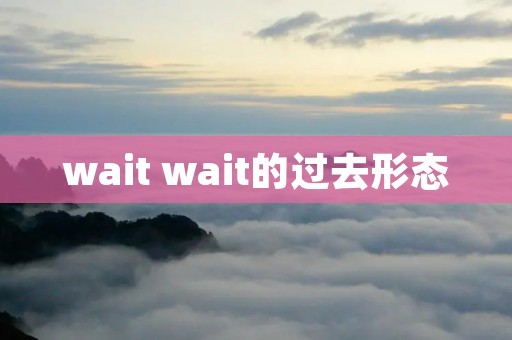 wait wait的过去形态