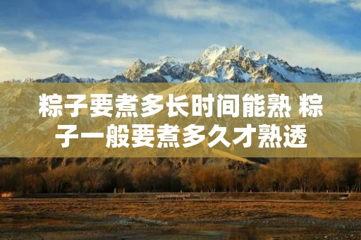 粽子要煮多长时间能熟 粽子一般要煮多久才熟透