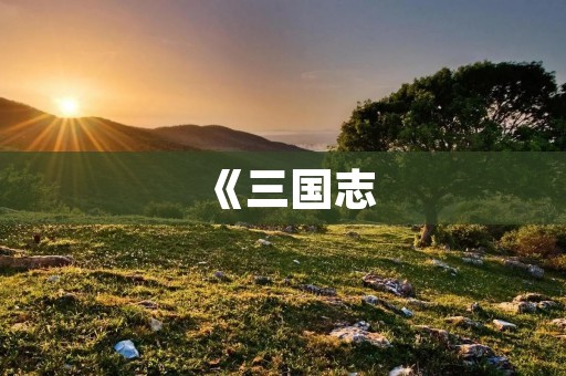 《三国志：带兵出征》——自己带兵打仗的三国游戏