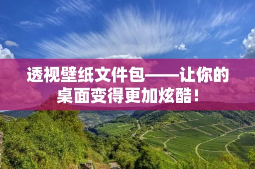 透视壁纸文件包——让你的桌面变得更加炫酷！