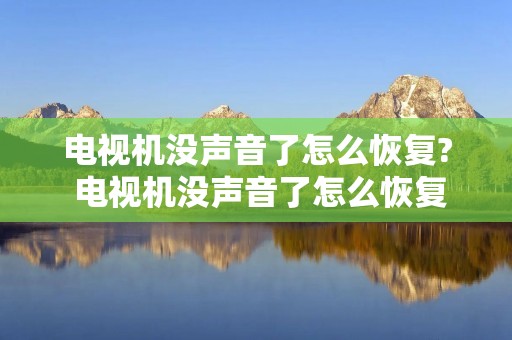 电视机没声音了怎么恢复? 电视机没声音了怎么恢复?非静音