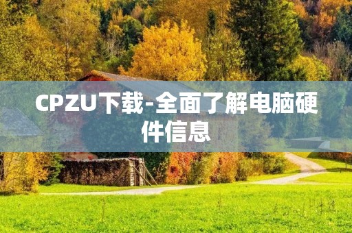 CPZU下载-全面了解电脑硬件信息