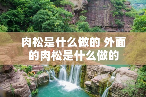 肉松是什么做的 外面的肉松是什么做的