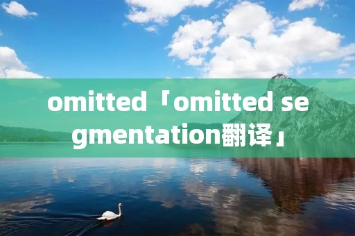 omitted「omitted segmentation翻译」